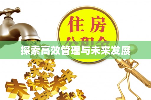 灵川探索高效管理与未来发展