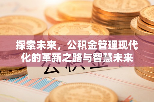 灵川探索未来，公积金管理现代化的革新之路与智慧未来