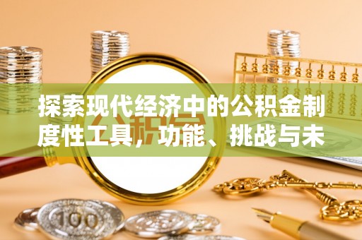 灵川探索现代经济中的公积金制度性工具，功能、挑战与未来