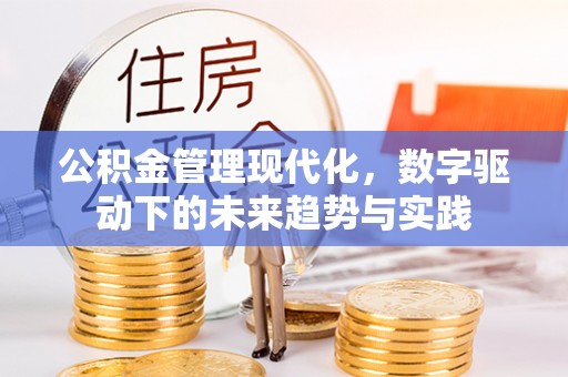 灵川公积金管理现代化，数字驱动下的未来趋势与实践