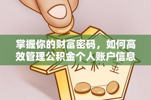 灵川掌握你的财富密码，如何高效管理公积金个人账户信息