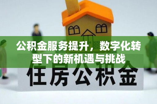 灵川公积金服务提升，数字化转型下的新机遇与挑战