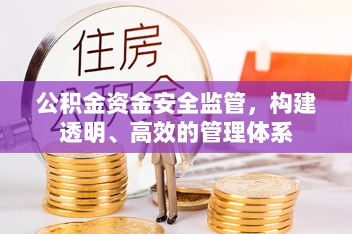 灵川公积金资金安全监管，构建透明、高效的管理体系