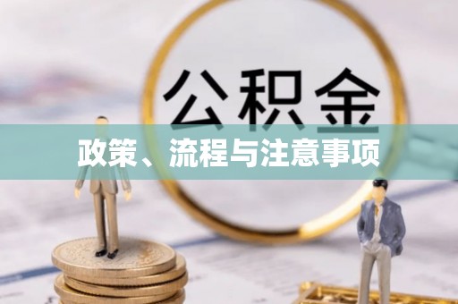 灵川政策、流程与注意事项