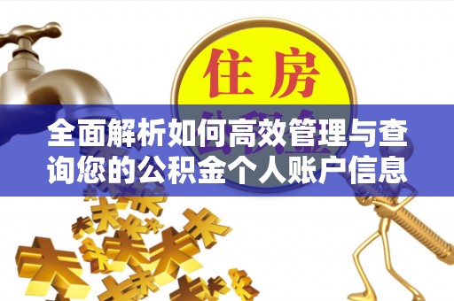 灵川全面解析如何高效管理与查询您的公积金个人账户信息