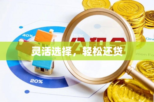 灵川灵活选择，轻松还贷