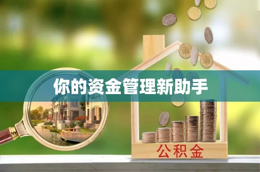 灵川你的资金管理新助手