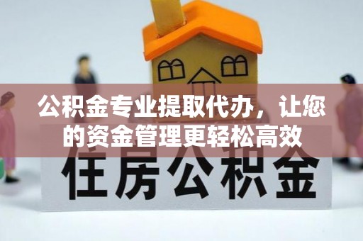 灵川公积金专业提取代办，让您的资金管理更轻松高效