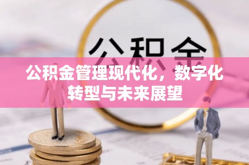 灵川公积金管理现代化，数字化转型与未来展望