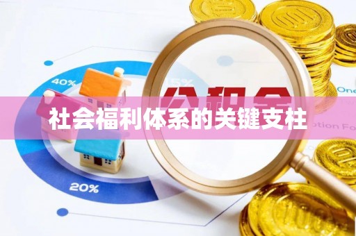 灵川社会福利体系的关键支柱