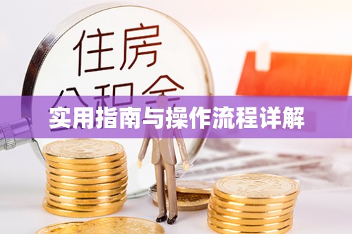 灵川实用指南与操作流程详解