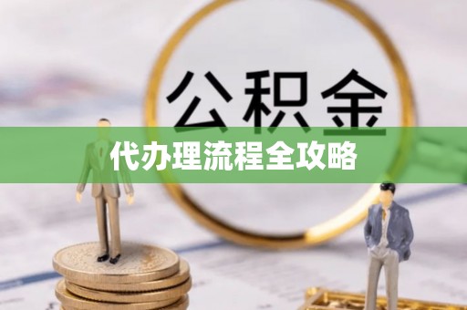 灵川代办理流程全攻略