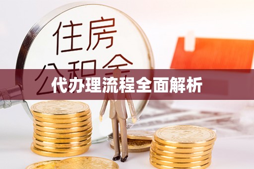 灵川代办理流程全面解析