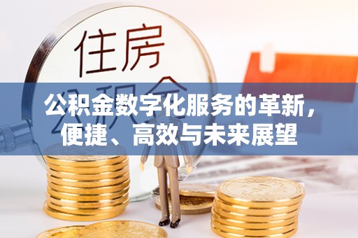 灵川公积金数字化服务的革新，便捷、高效与未来展望
