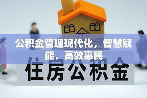 灵川公积金管理现代化，智慧赋能，高效惠民