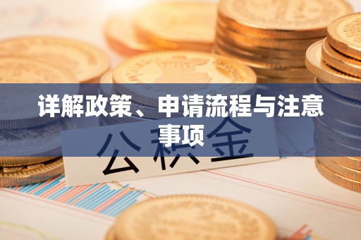灵川详解政策、申请流程与注意事项
